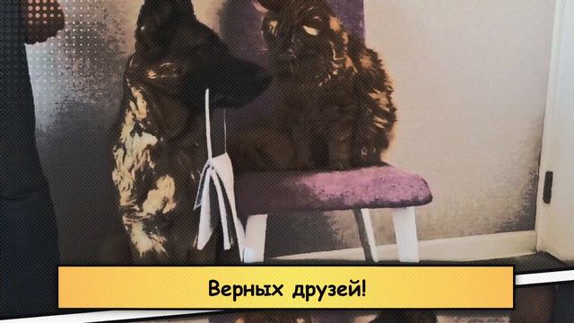 Игорь Витальевич С Днем Рождения! смотреть онлайн