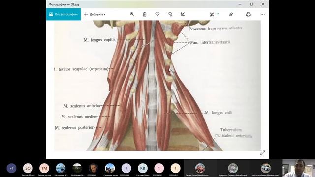 Анатомия головы и шеи - лекция 8 смотреть онлайн