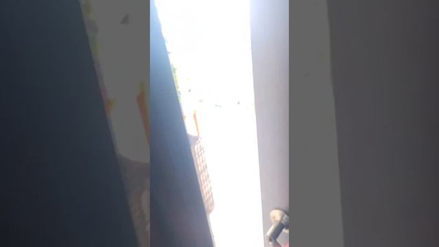 Casa Montana Costa Rico смотреть онлайн