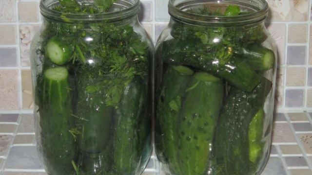 Сборник рецептов