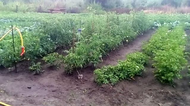 Сняли Опалубку, а там такое!!! смотреть онлайн