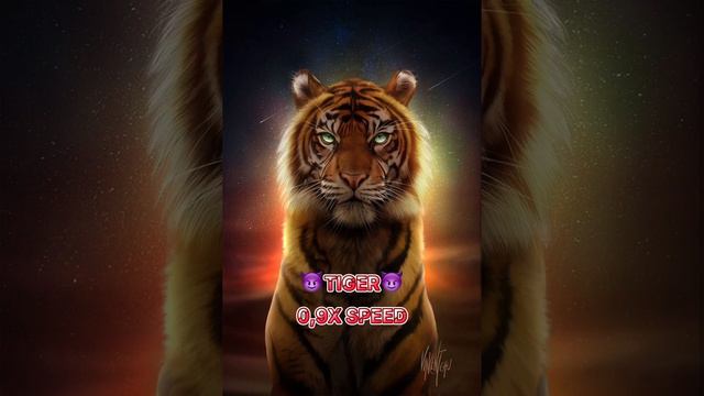 ДАМ ТАМ БОМБИТ🤘🏻👀 смотреть онлайн