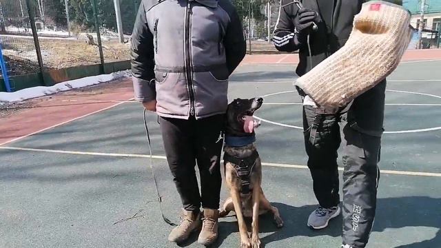 Енисей из дома Одина 3 года смотреть онлайн