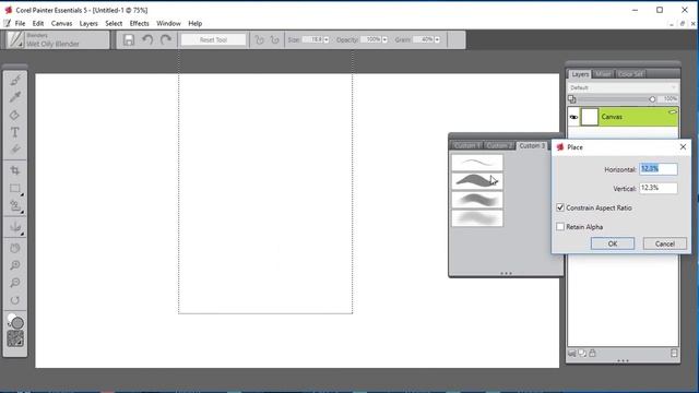 Import - Importing an image as a layer in Corel Painter Essentials смотреть онлайн