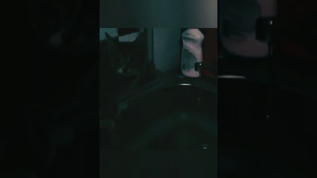 Ну очень хочется пить 😂 смотреть онлайн