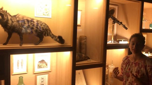 Fragonard Perfume Museum tour смотреть онлайн