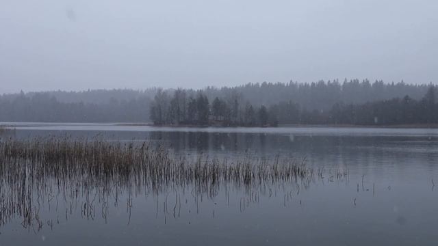 На каршеринге из ПИТЕРА в КАРЕЛИЮ — делюсь личным опытом | ТЕХНОМОД