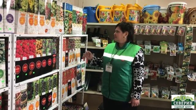 Открытие садового центра "Северин 3" смотреть онлайн