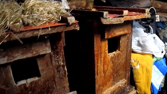 Записки охотника-промысловика. Часть 3 смотреть онлайн