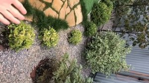 Миксбордер за детской площадкой! СУПЕР идея для дачи!!