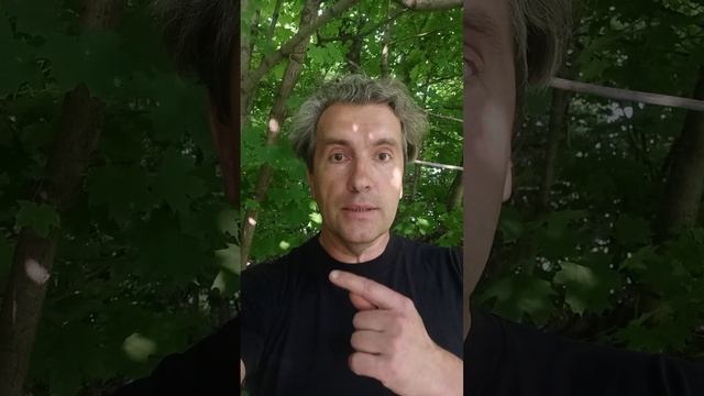 Поэтический марафон «Поэзия И. Бродского». Ермишин Александр Владимирович смотреть онлайн