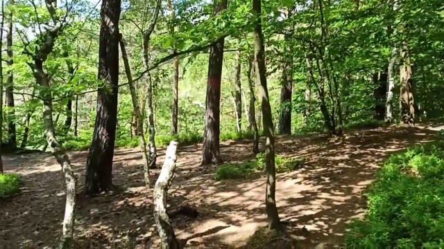 Чешская Швейцария смотреть онлайн