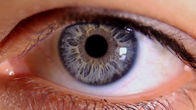 Можно ли есть Сырые яйца? Польза и Вред СЫРЫХ ЯИЦ смотреть онлайн