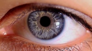 Можно ли есть Сырые яйца? Польза и Вред СЫРЫХ ЯИЦ