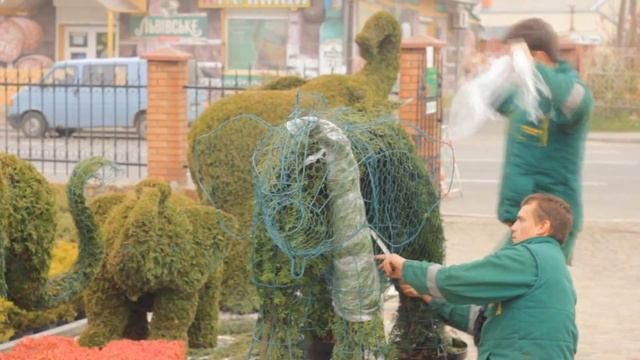How to make topiary? Каркас для топиари, каркас слона смотреть онлайн