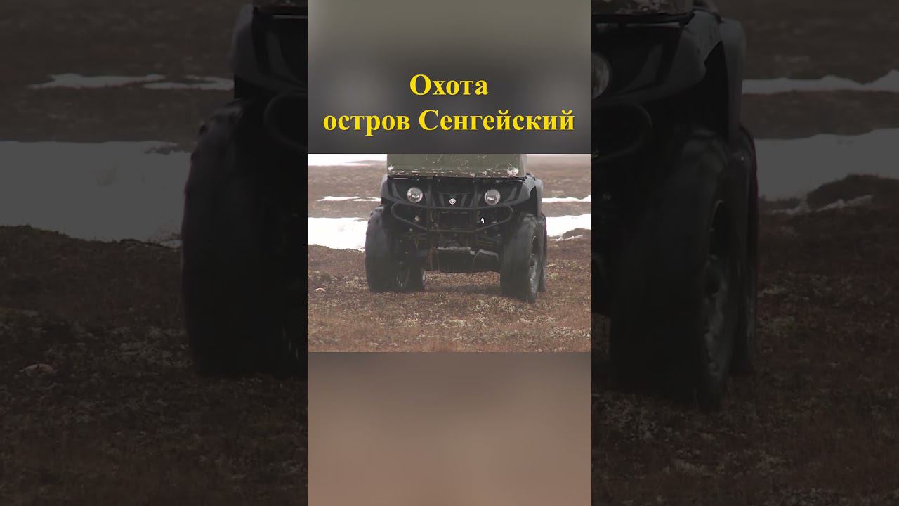 Охота на острове Сенгейский 11 #охотанагуся #охотавроссии смотреть онлайн