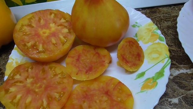 Очень сладкие томаты БИКОЛОР! Томат Полуночное солнце. Дегустация 2022 года. смотреть онлайн