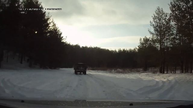 День Рождения Wingle! Ежегодная встреча владельцев