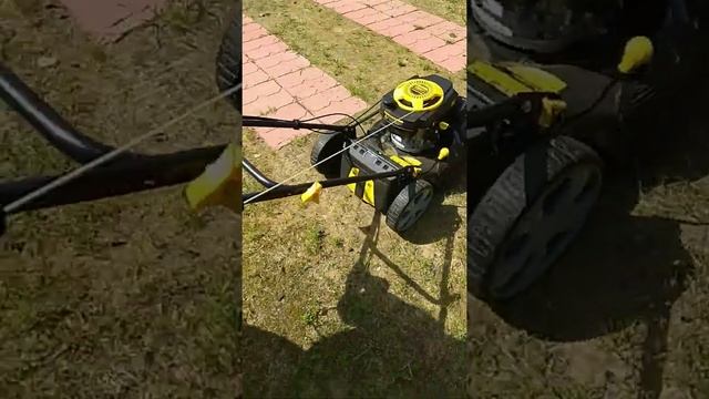 Янтарная свадьба смотреть онлайн