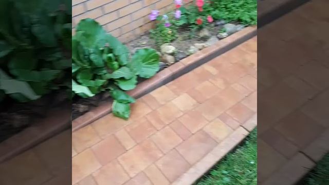 Браер Старый город