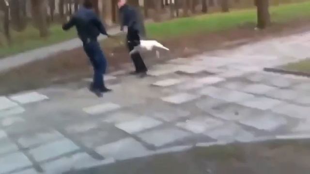 Собачий вальс смотреть онлайн