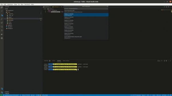 Selecting the correct python interpreter in VSCode