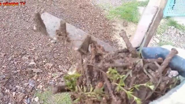 Полезное и нестандартное применение поискового магнита в быту! Почему раньше не додумался? смотреть онлайн