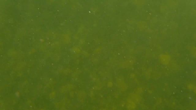 Сплав на Тунгуске 500 по Белой смотреть онлайн