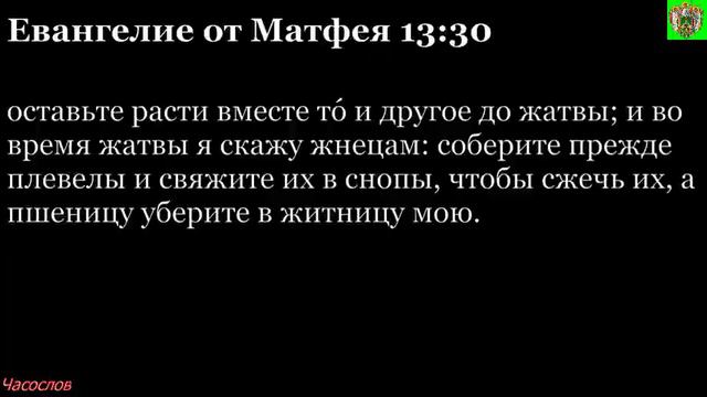 Аудиокнига. Библия. Новый Завет. ЕВАНГЕЛИЕ ОТ МАТФЕЯ. Глава 13 смотреть онлайн