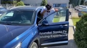 Выдвижные пороги на Hyundai Santa-fe 2020