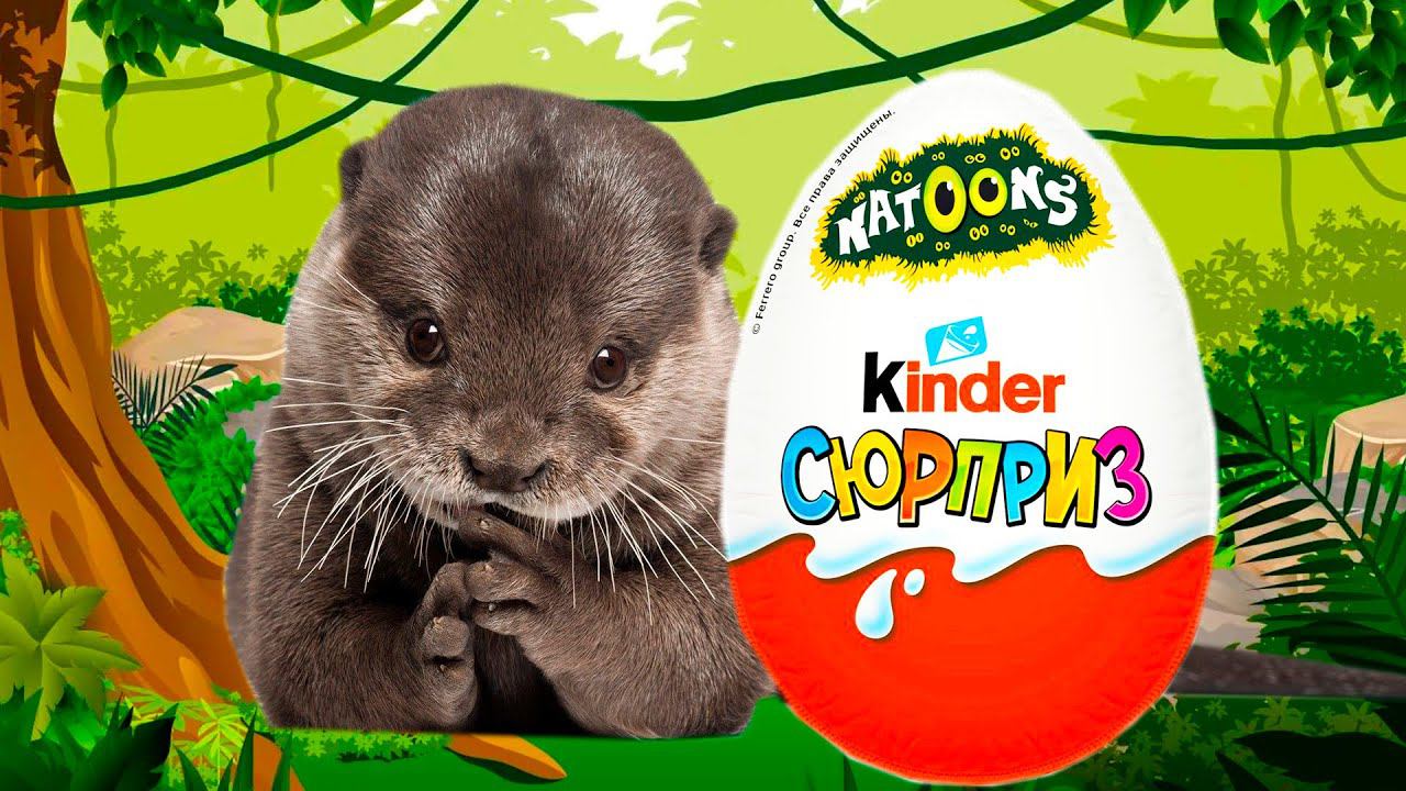 Собрали ВСЮ коллекцию NATOONS