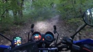 На Альфе Off-road через лес