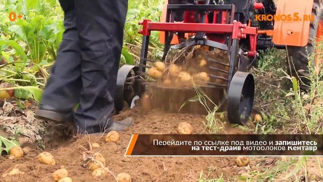 Обзор: Мотоблок Кентавр 1081Д (Toyokawa) с картофелекопалкой в работе смотреть онлайн