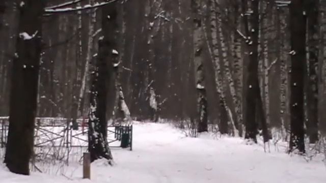 Botanical Garden in Moscow 23.01.2012 смотреть онлайн