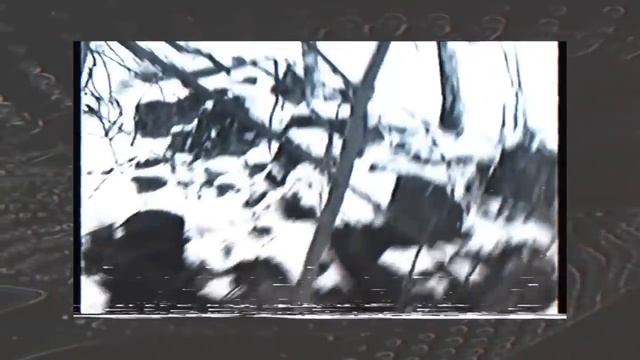 КТО ТАКИЕ VELIAL SQUAD? смотреть онлайн