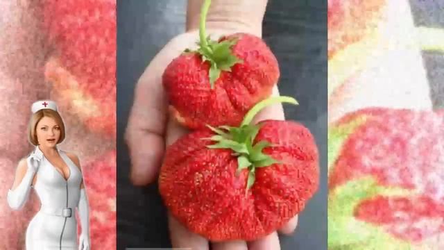 ЭТА КЛУБНИКА СМОЖЕТ ЛЕЧИТЬ ОПУХОЛИ, ПОЧКИ ОТ КАМНЕЙ? Strawberry usefulness of this produc смотреть онлайн