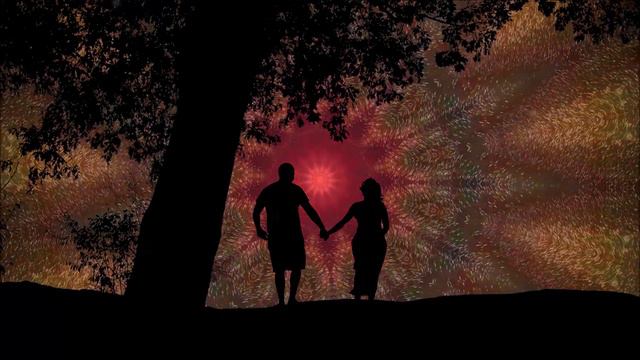 ASTRONAUT APE - Acceptance