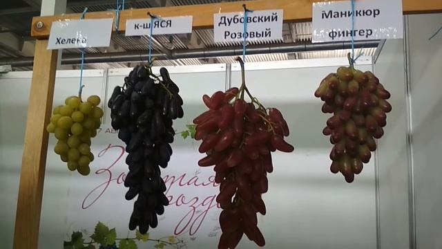 Выставка " Золотая гроздь Украины 2018 " смотреть онлайн