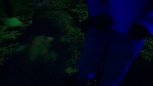 ВОЛШЕБНЫЙ МИР, СВЕТЯЩИЙСЯ в ТЕМНОТЕ!!! смотреть онлайн