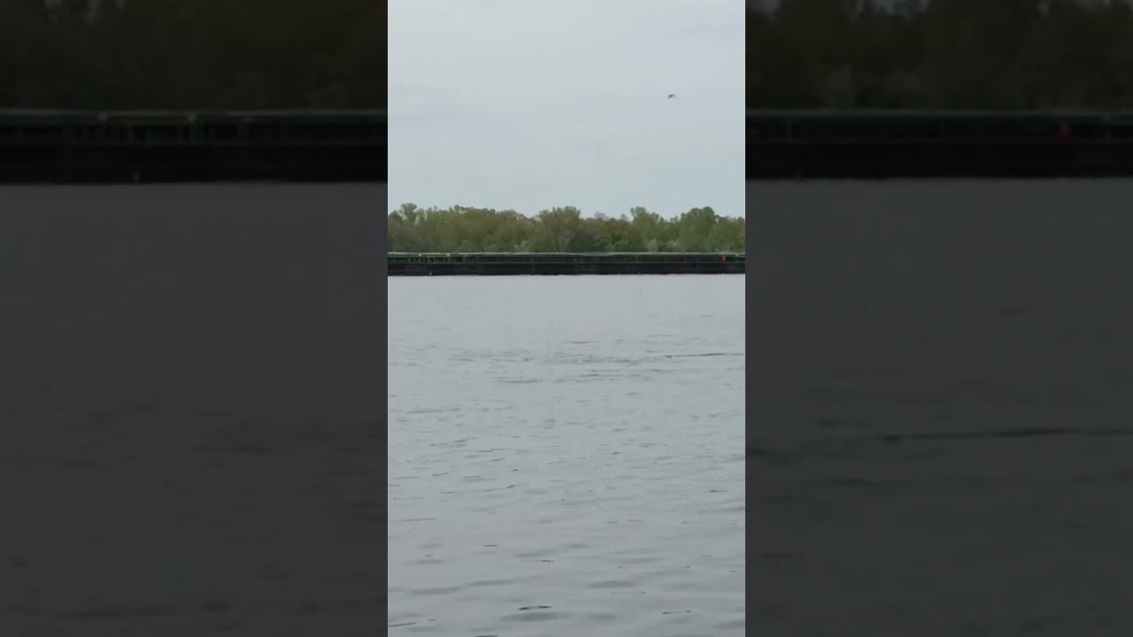 6 мая 2023 г. смотреть онлайн