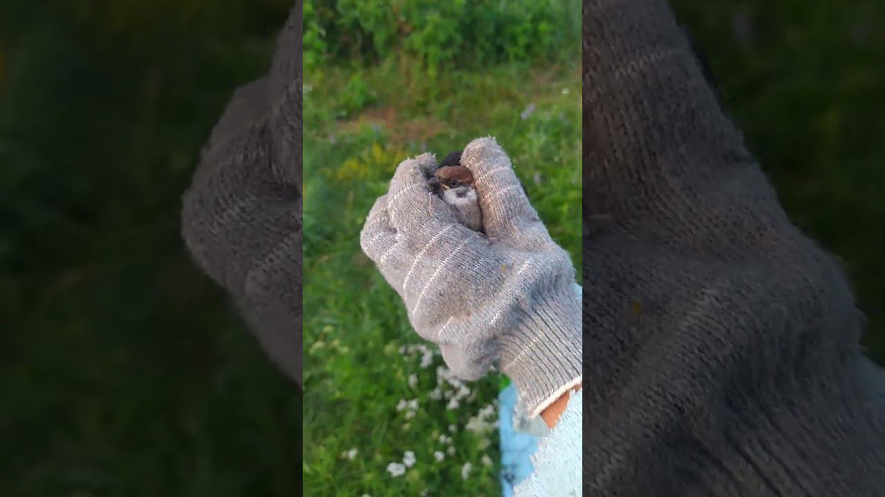 лети смотреть онлайн