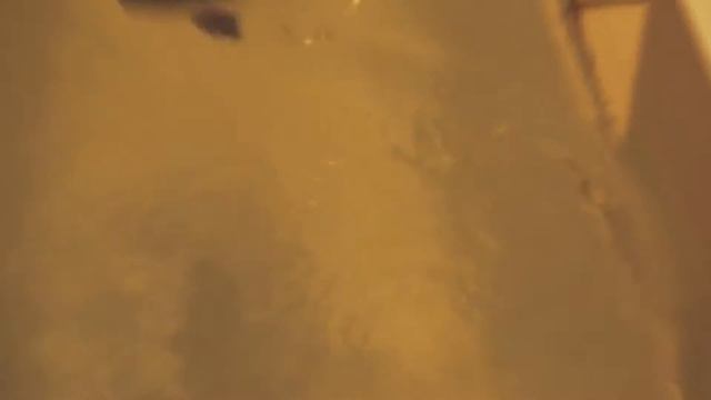 Крещение Кирилла и Михаила в церкви с.Малоугренёво смотреть онлайн