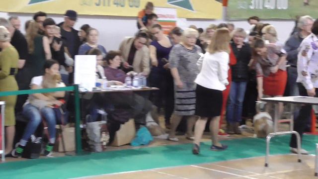 27 окт 19 смотреть онлайн