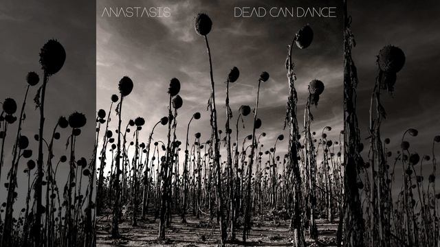 Kiko смотреть онлайн