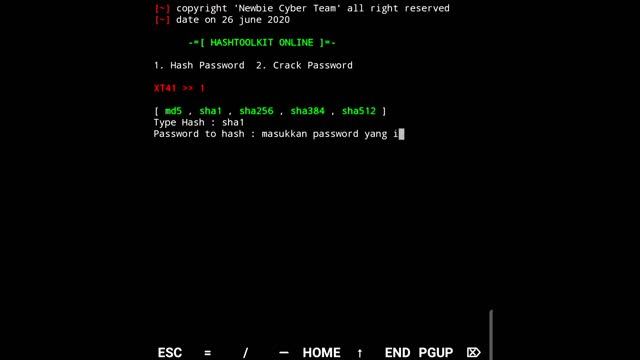 [Hash] Password Crack Online смотреть онлайн