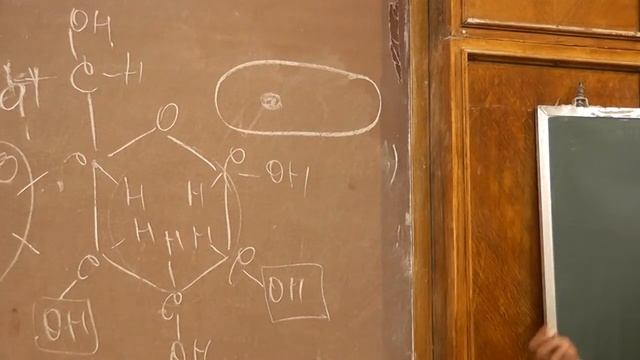 3.3 Пищеварение