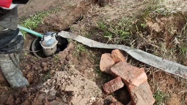 Абиссиночка с хорошей водой в место пустого колодца. Приозерский район, Ленинградская область. смотреть онлайн