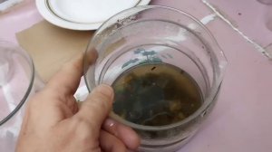 Аффинаж золота из мобильных телефонов. Металл.