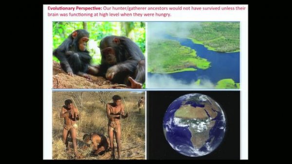 Why fasting bolsters brain power: Mark Mattson at TEDxJohnsHopkinsUniversity