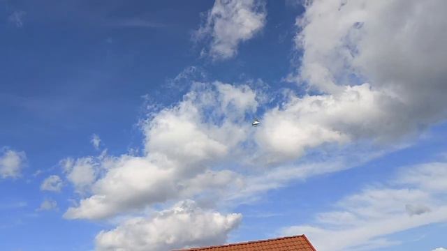 Ręce opadają pierwszy oblot od razu jastrząb się pojawił i atakuje wściekle:( смотреть онлайн